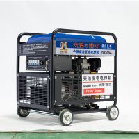 手推小型300A發(fā)電電焊機(jī)