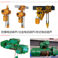 西安浐灞生態(tài)區(qū)更換行吊配件/行車電機/葫蘆減速機導(dǎo)繩器鋼絲繩